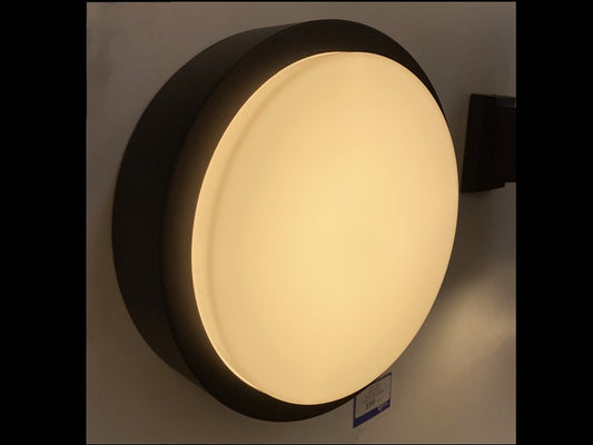 LED Black Outdoor Ceiling Light A216-Black - Galaxy Lighting NZ