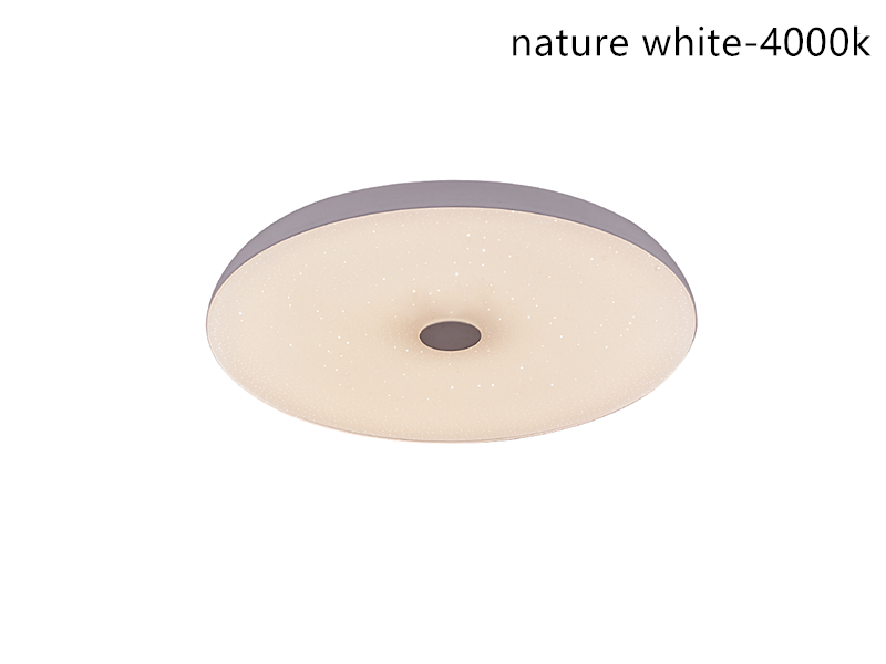 Music Light with RGB Color Change C109 - Galaxy Lighting NZ
