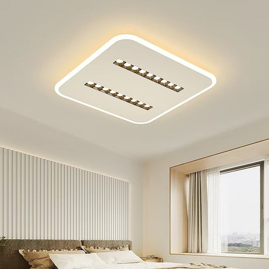 Remote Control LED Ceiling Light With Spot Light C110-50cm - Galaxy Lighting NZ