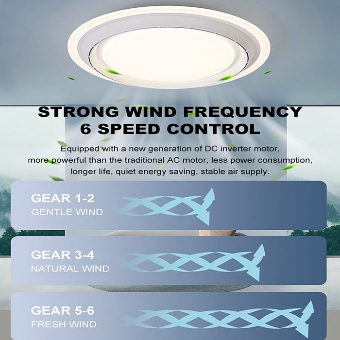 LED Ceiling FAN Light With Remote Control, C117-50cm-CCT(DEMO) - Galaxy Lighting NZ