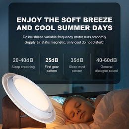 LED Ceiling FAN Light With Remote Control, C117-50cm-CCT(DEMO) - Galaxy Lighting NZ