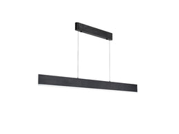 Brushed Black LED Pendant Light,P313-1.2M - Galaxy Lighting NZ
