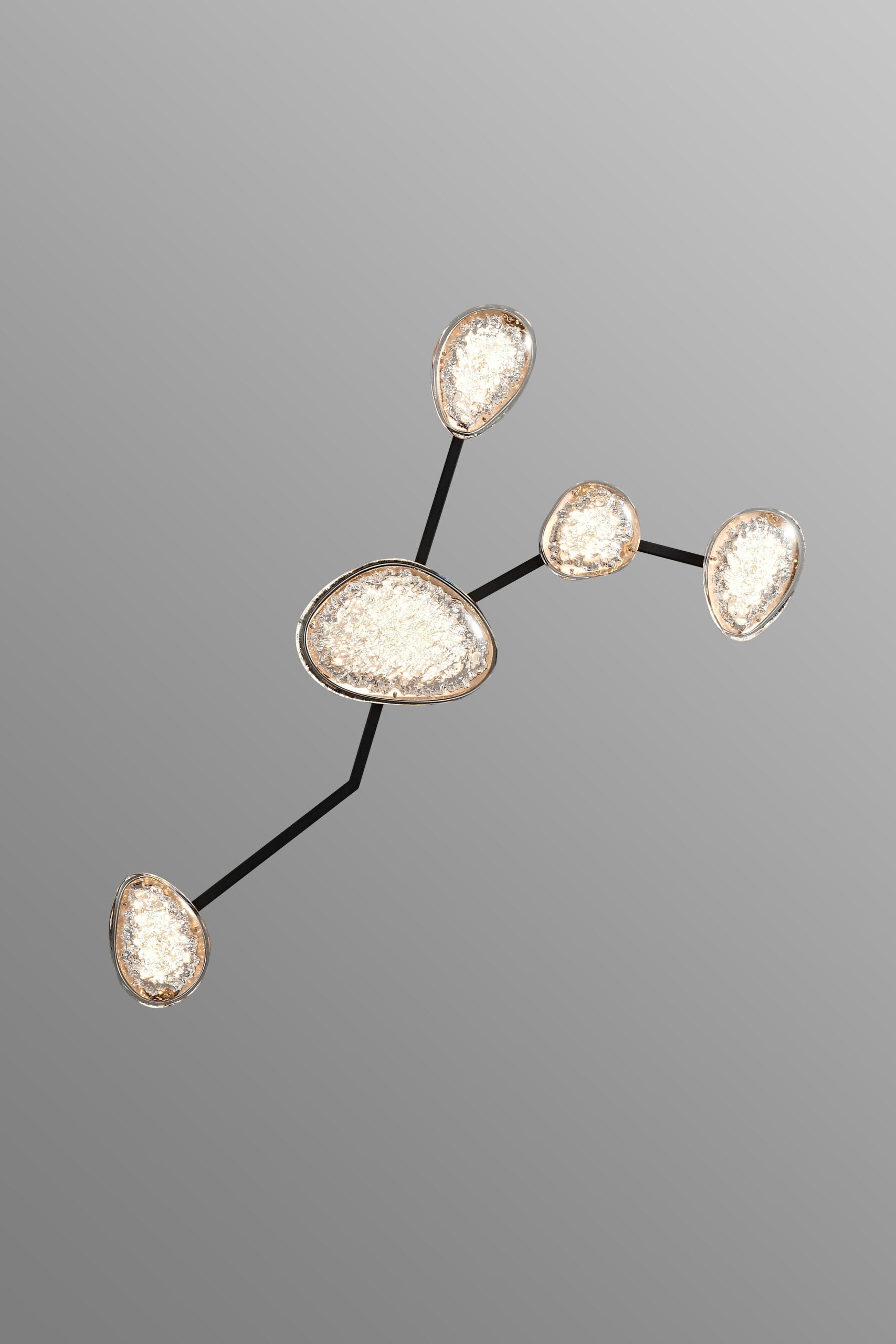 Cancer constellation ceiling light