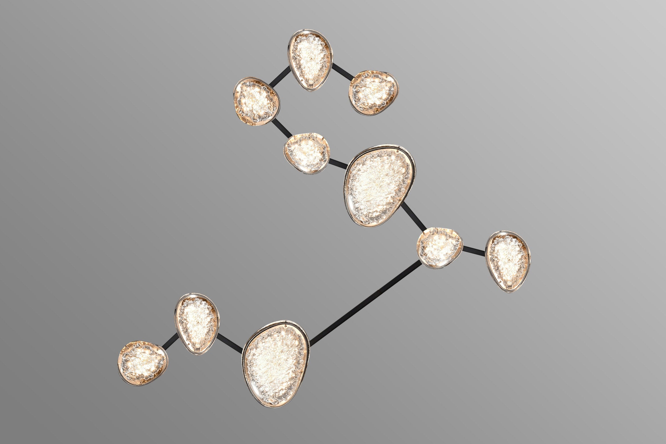 Leo constellation ceiling light